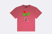 Pasdemer Lattina Tee Rose
